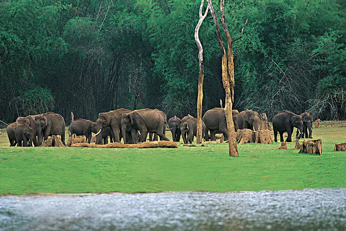 Kumily town near Thekkady